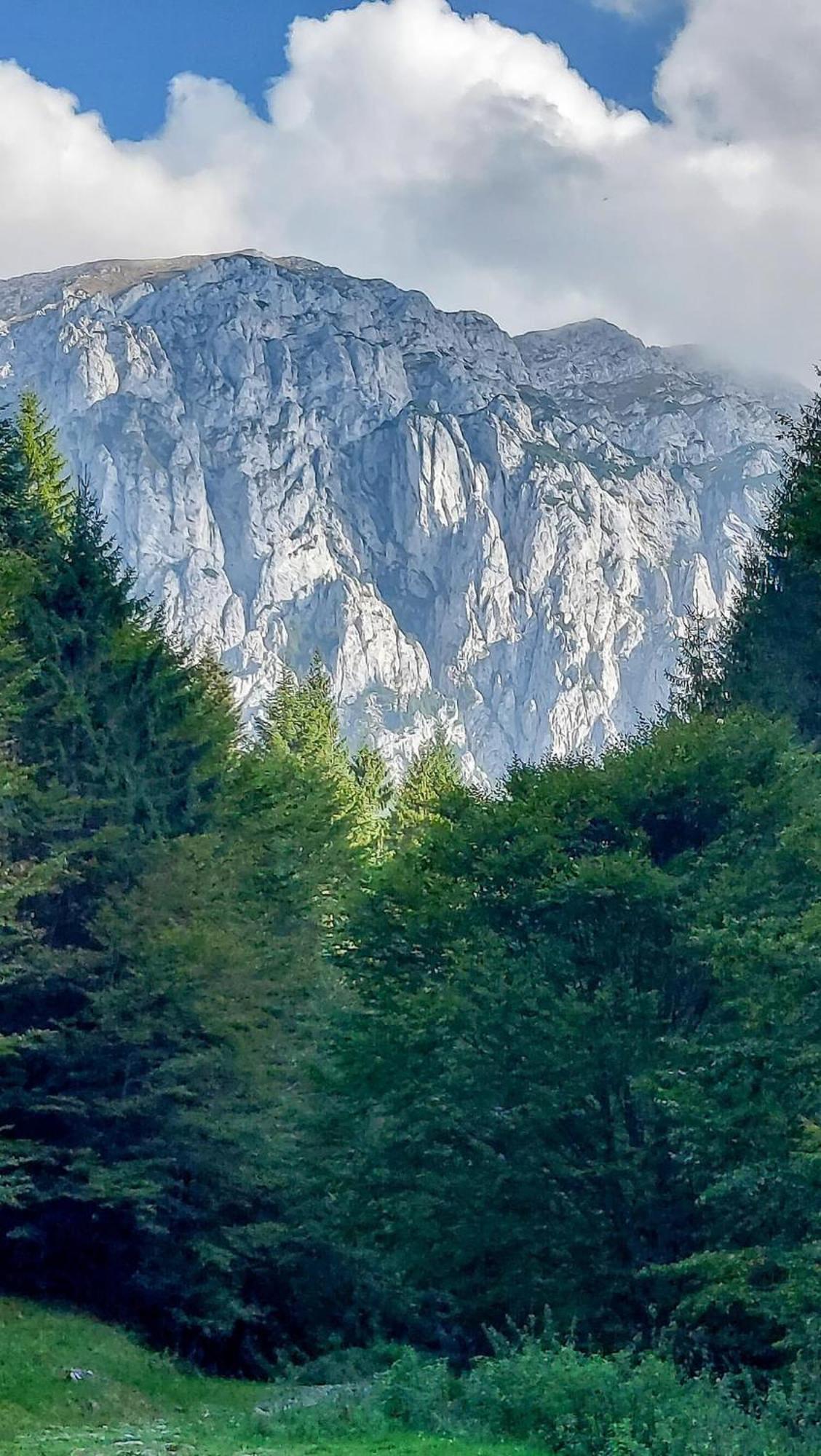 Cazare Zorilor Zarnesti Bilik gambar
